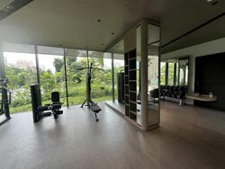 Irwell Hill Residences (D9), Apartment #459058911